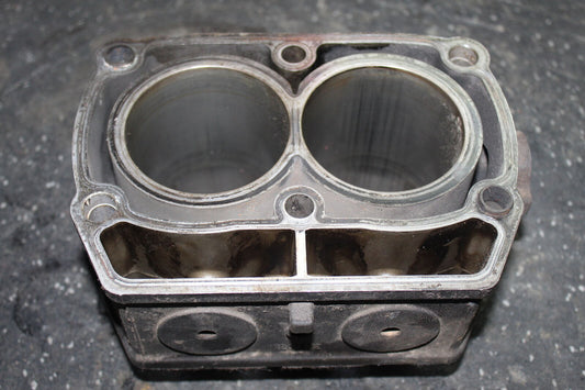 02-03 POLARIS SPORTSMAN 700 TWIN ENGINE CYLINDER PISTON BLOCK JUG BARREL SCUFFS